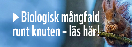 Biologisk mångfald runt knuten – läs här