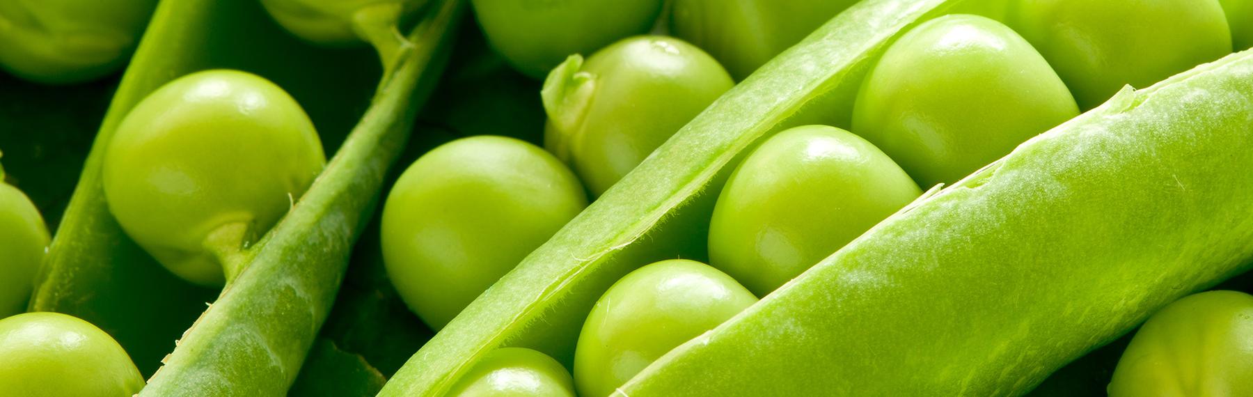 Foto: supertrooper / shutterstock gröna ärtor