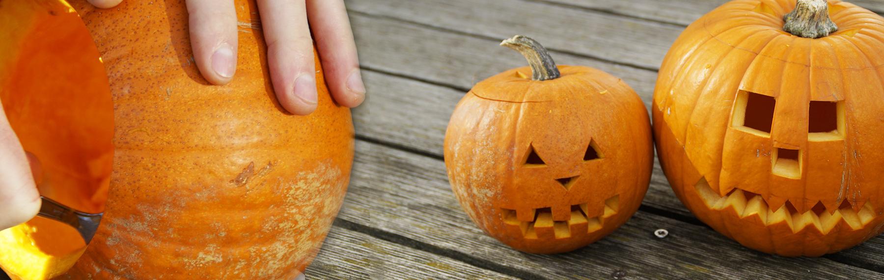 Foto: Pixabay / CreativeCommons pumpalyktor
