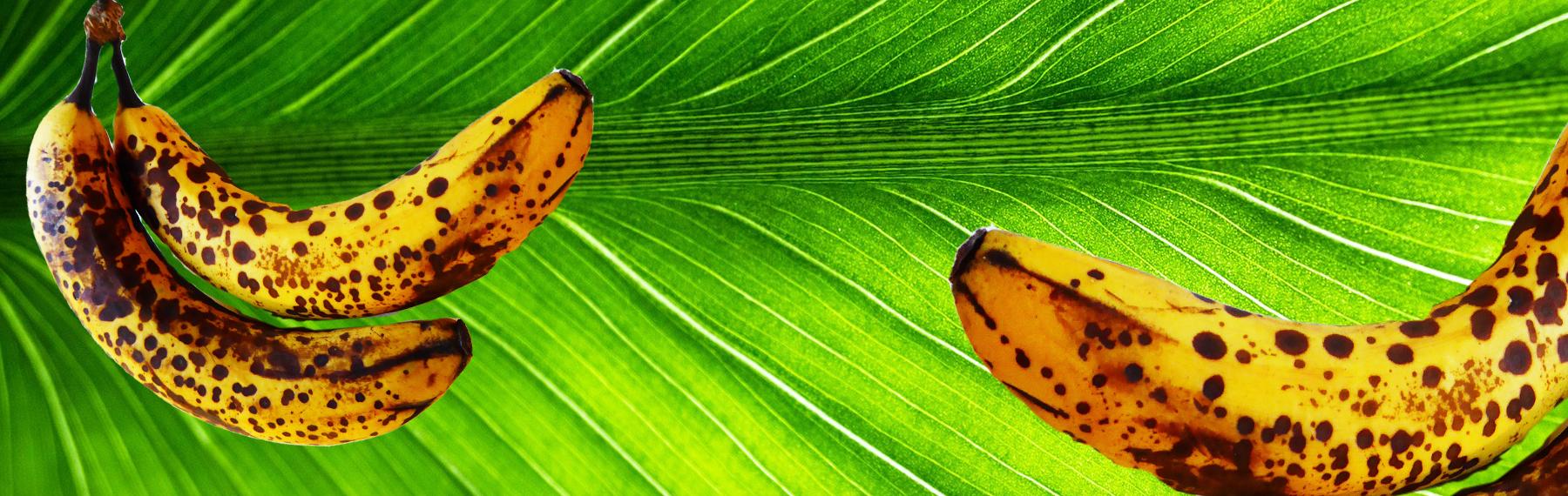 Foto: pixabay/creativecommons bananpannkaka recept