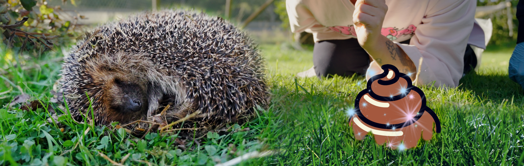 Julia och igelkotten Janne