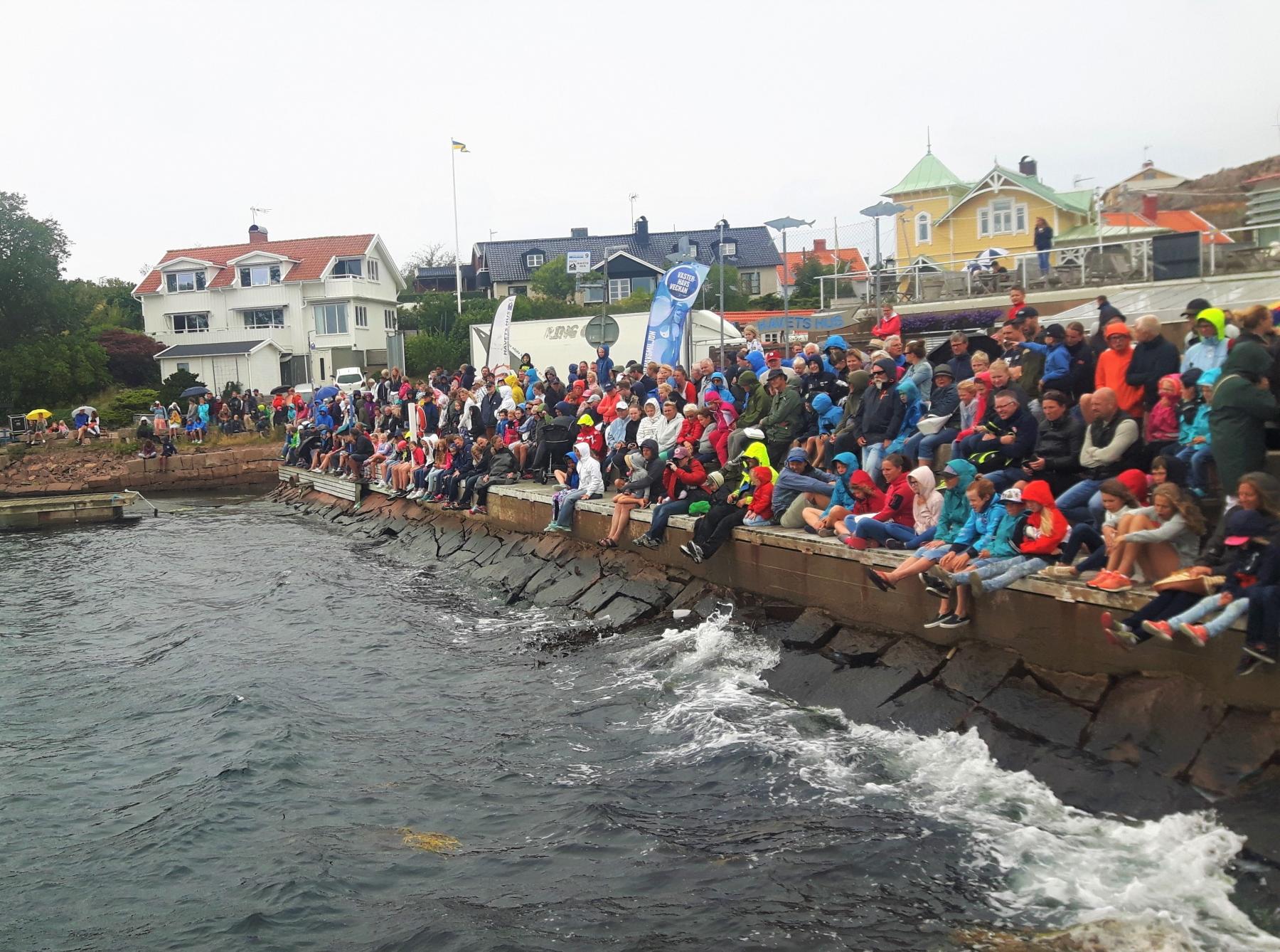 © Saga Sandin Hajsläpp 2018
