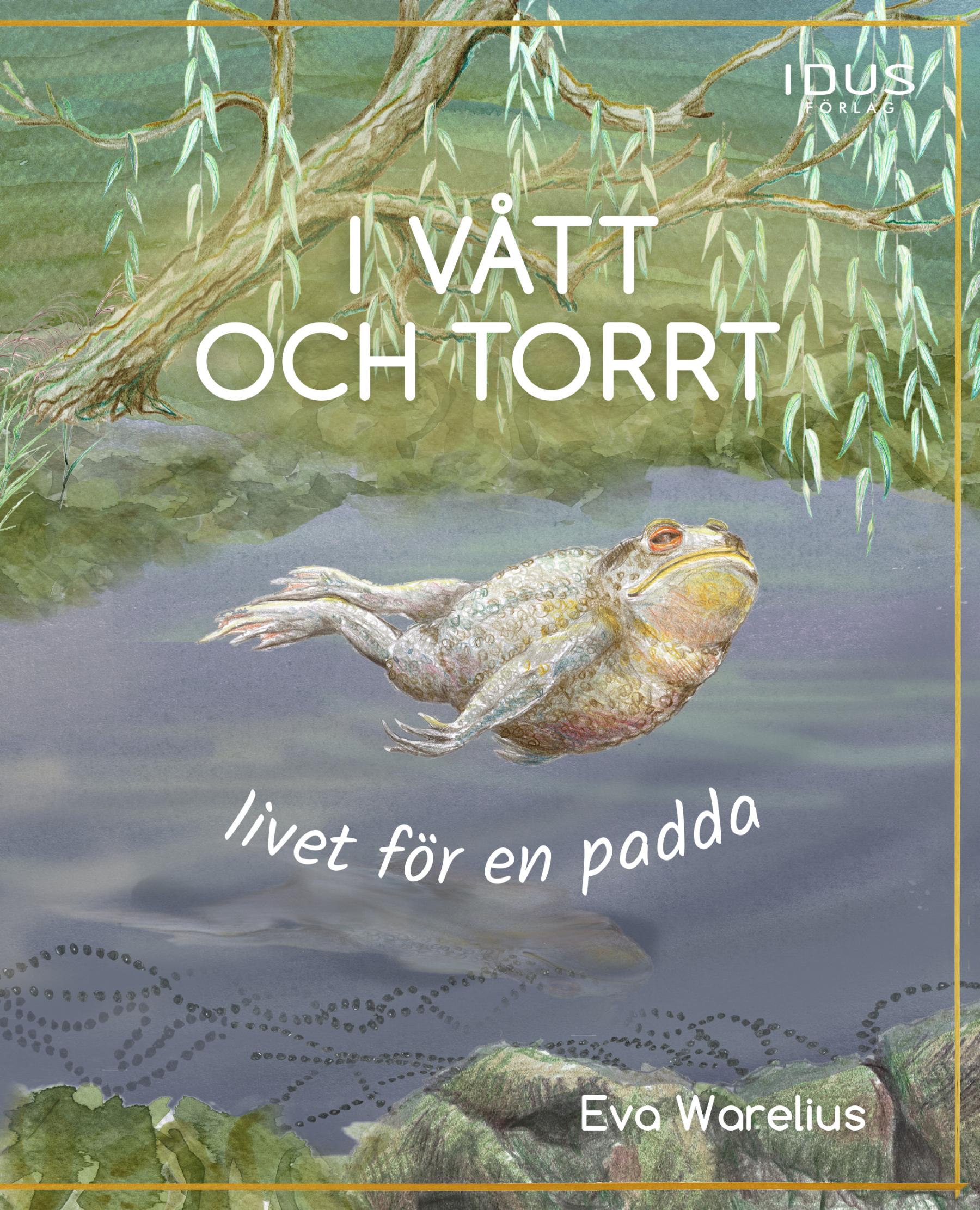 Boken I vått och torrt - livet för en padda