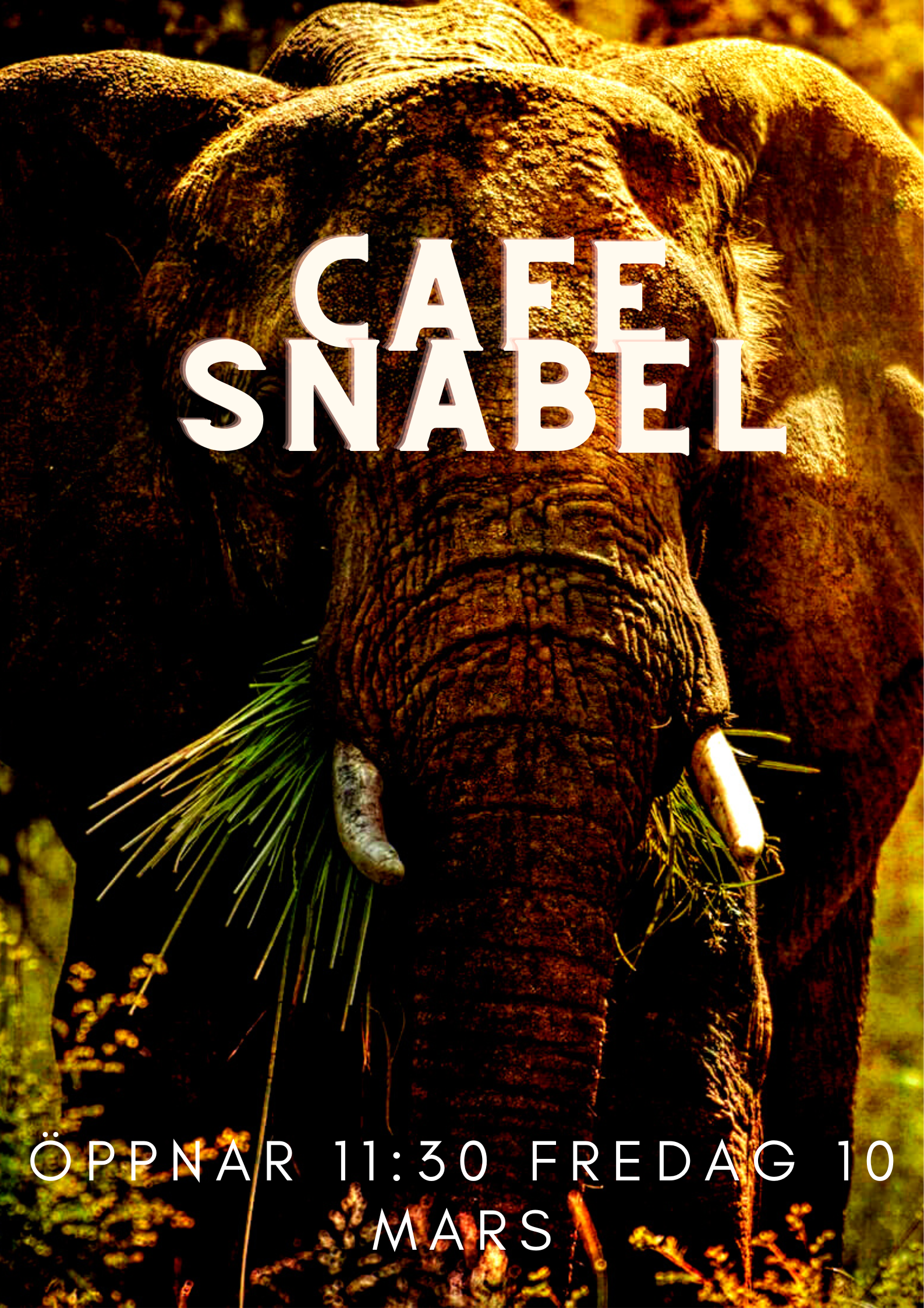 Café Snabel