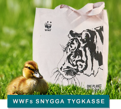 WWFs snygga tygkasse