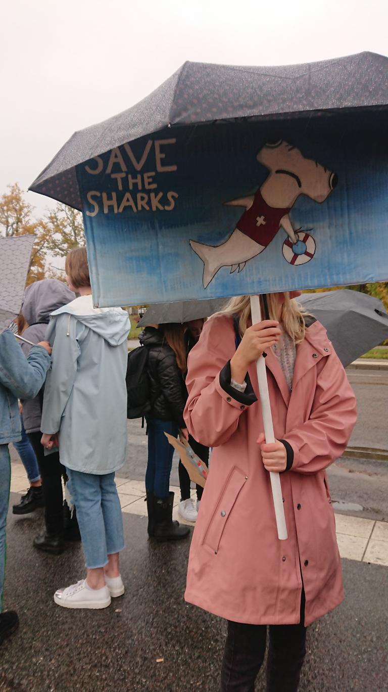 Foto: Emma Ohlsson Demonstration