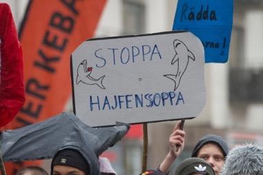 Stoppa hajfensfiske