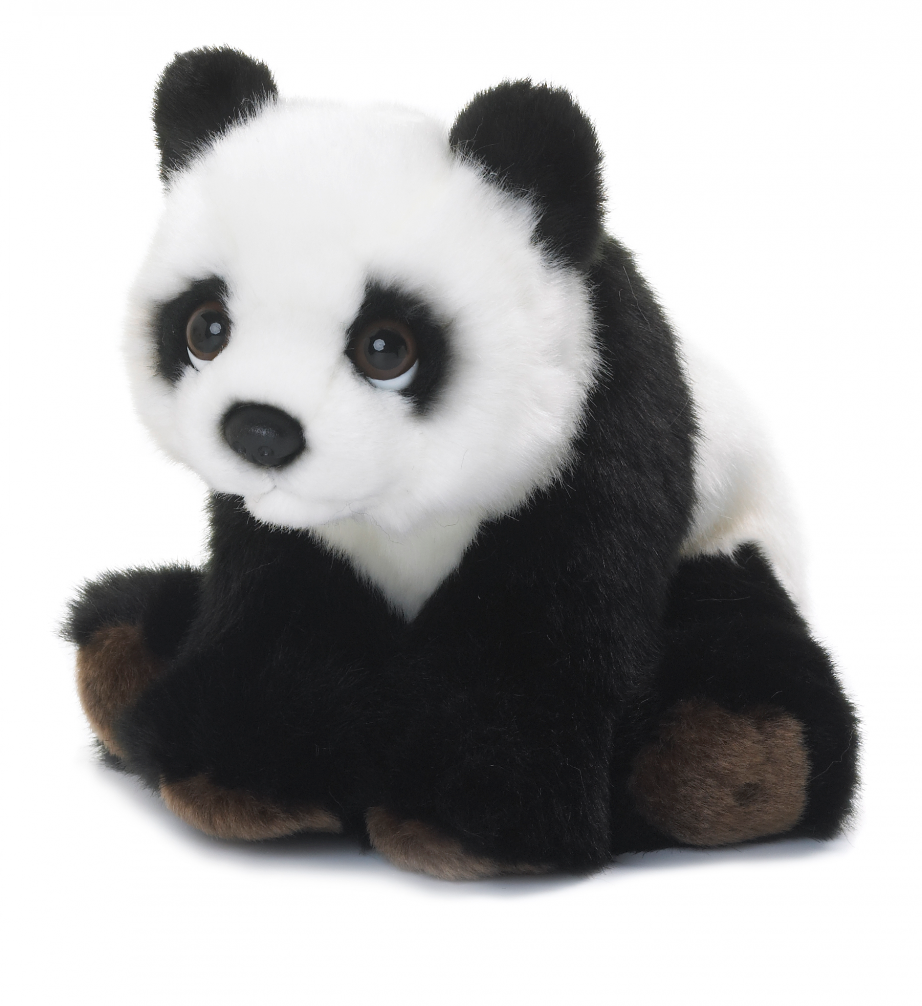 Mjukispanda