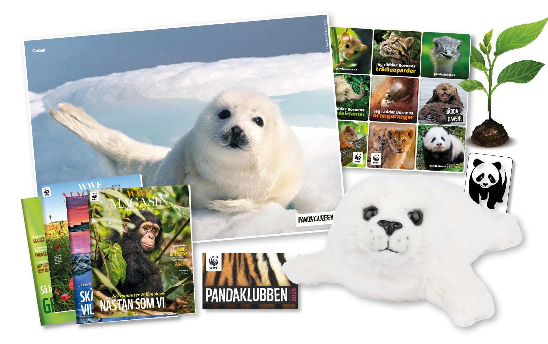 Pandaklubben medlemspaket 2025