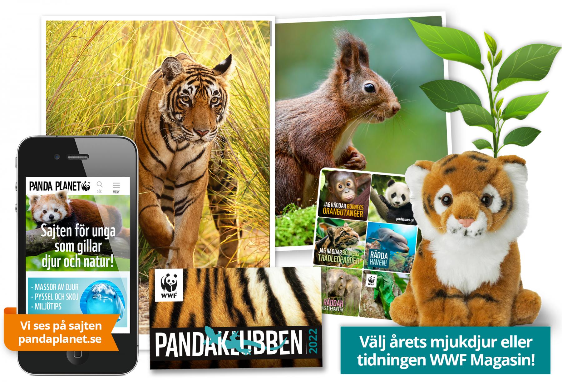 Pandaklubben medlemspaket 2022 Pandaklubben medlemspaket 2022