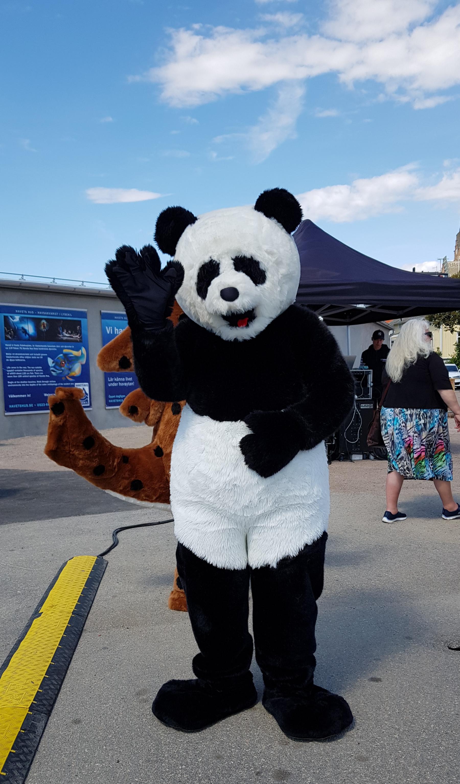 Pandan vid Havets Hus på hajsläpp