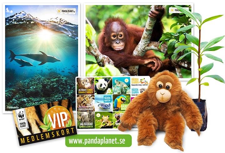 VIP-paket 2018