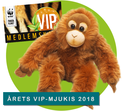 Årets VIP-mjukis