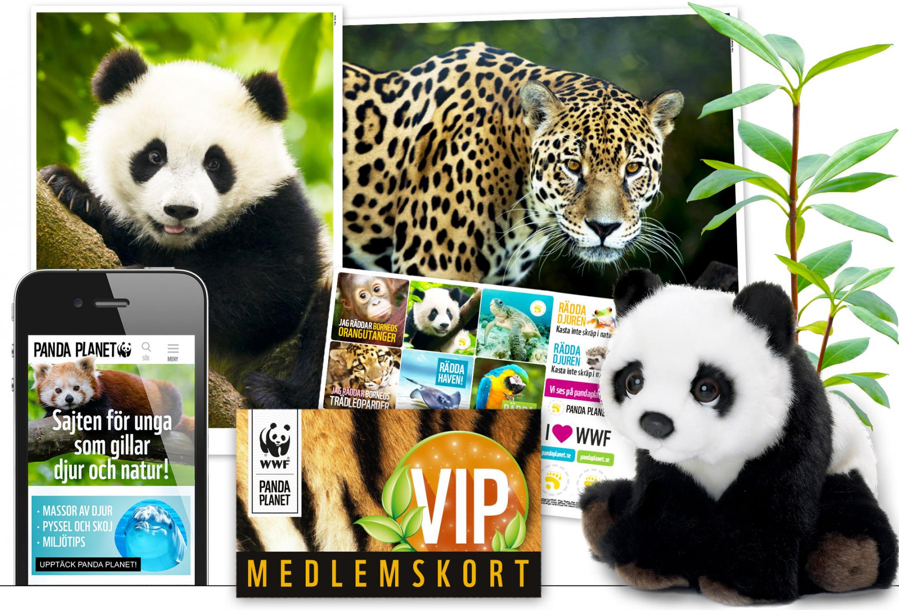 VIP-paket 2019