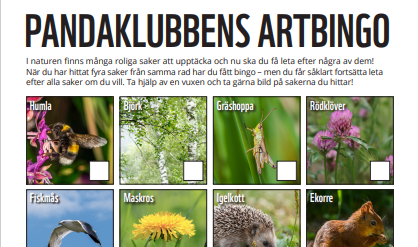 Pandaklubbens artbingo