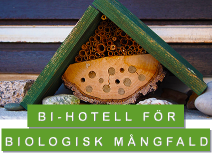 © pixabay/creativecommons bihotell