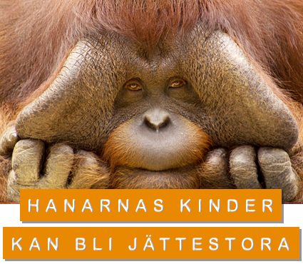 © naturepl.com / Edwin Giesbers / WWF Hanarnas kinder kan bli jättestora