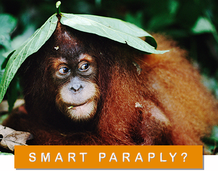 © naturepl.com / Anup Shah / WWF Smart paraply av blad