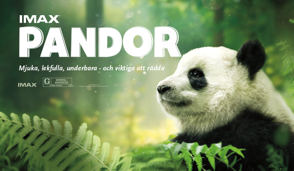 Pandor