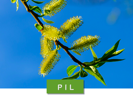 © pixabay/creativecommons pil