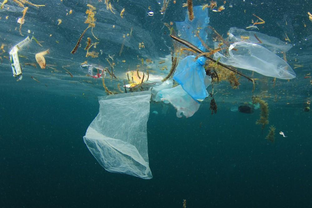 Foto: Shutterstock/Rich Carey/WWF Plast