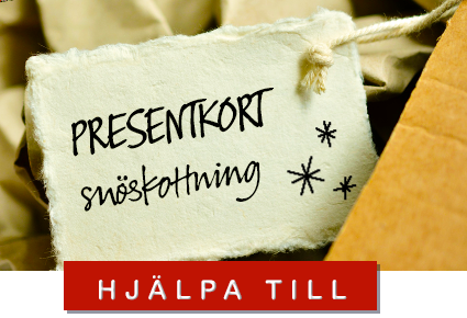 foto:pixabay/creativecommons presentkort snöskottning