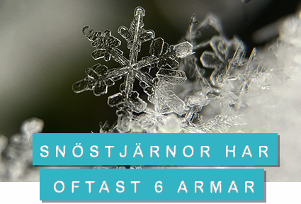 Foto: pixabay/creativecommons snöstjärna