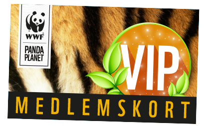 Medlemskortet