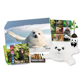Pandaklubben 2025