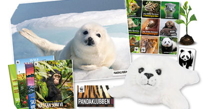Pandaklubben 2025
