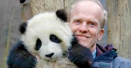 Allan och panda